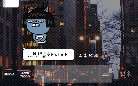 [스압]이모티콘의 적절한 사용류