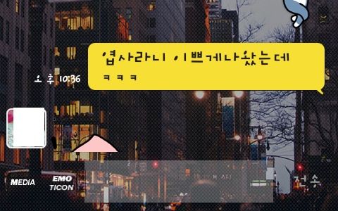 [스압]이모티콘의 적절한 사용류