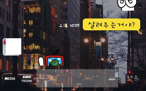 [스압]이모티콘의 적절한 사용류