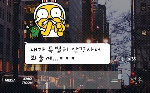 [스압]이모티콘의 적절한 사용류