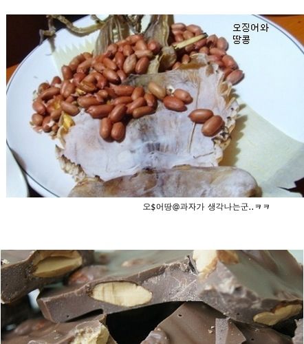 같이 먹으면 더 맛있는 음식들