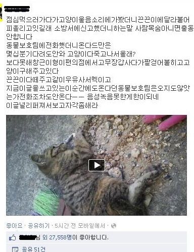 동물을 구해주지않는 매정한기관