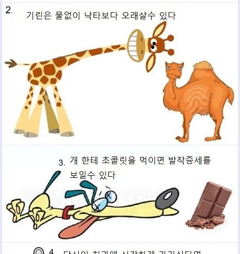 놀라운 사실들.jpg