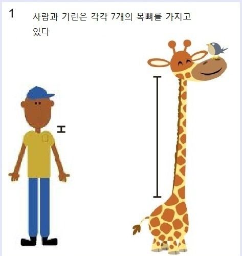 놀라운 사실들.jpg