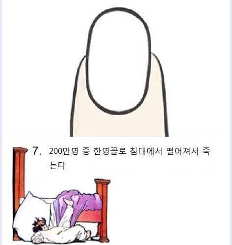 놀라운 사실들.jpg