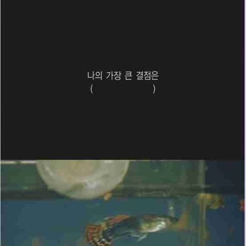 대한민국 초딩의 현실.jpg