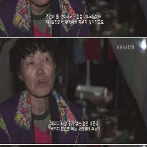 뉴타운의 유기견들.jpg