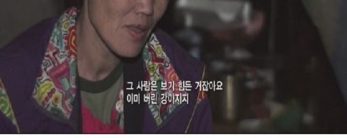 뉴타운의 유기견들.jpg