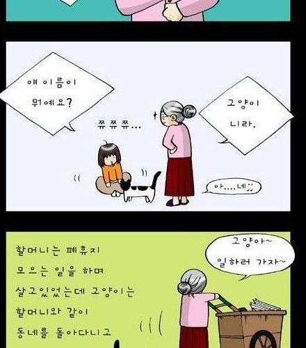 할머니와 고양이.jpg