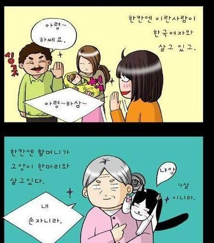 할머니와 고양이.jpg