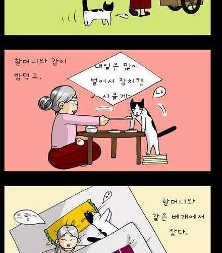 할머니와 고양이.jpg