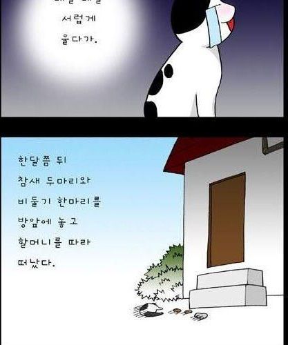 할머니와 고양이.jpg