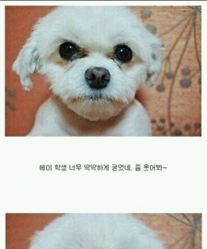 사진찍을땐 좀 웃어봐.jpg