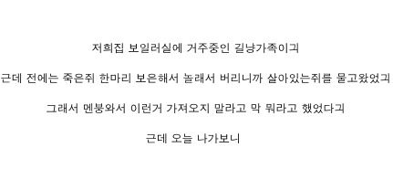 고양이의 보은.jpg