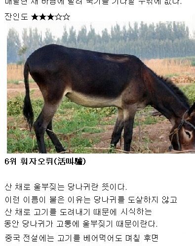 대룩의 잔인한 요리 10.jpg