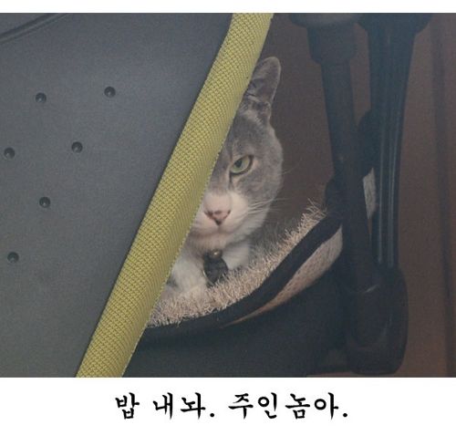 어디선가 느껴지는 한기.jpg