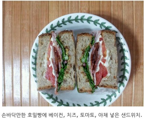 디시 샌드위치매니아.jpg