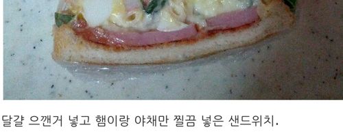 디시 샌드위치매니아.jpg