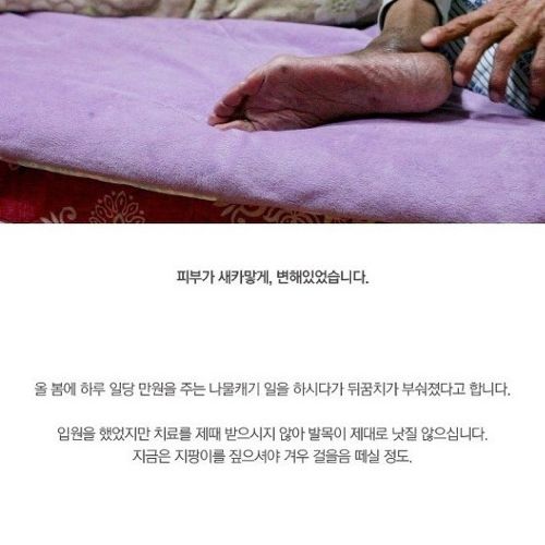 [스압]독거 노인분들 도와드린..