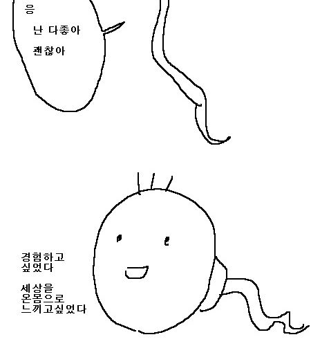 [스압]정자와 난자.jpg