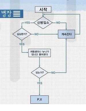 신병 왔을 때 계급별 행동 패턴