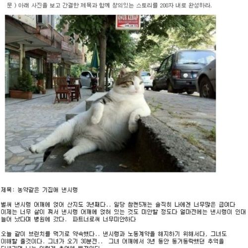 창의력있는 스토리.jpg