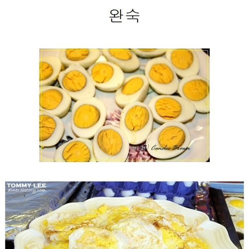 반숙 vs 완숙.jpg