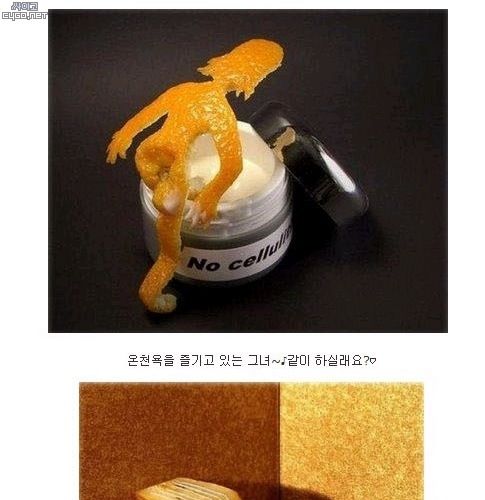 과일로 만든 예술.jpg