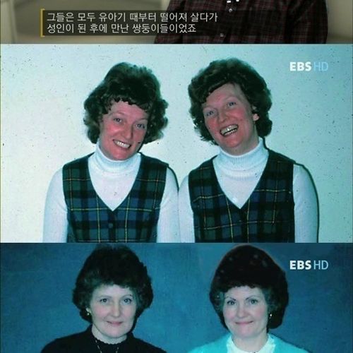 [스압]성격의 탄생.jpg