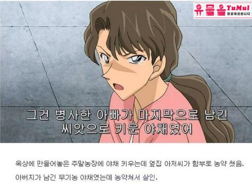 명탐정코난의 흔한 살인동기