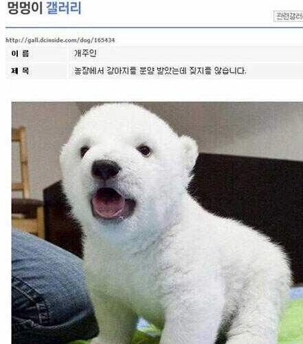 강아지를 분양받았습니다.jpg