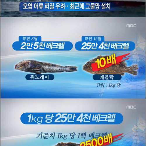 일본 후쿠시마 근황.jpg