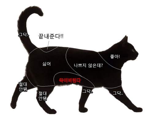 고양이와 강아지의 쓰담차이.jpg