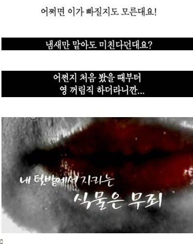 내 텃밭에서 기르는 식물은 무죄