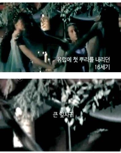 내 텃밭에서 기르는 식물은 무죄