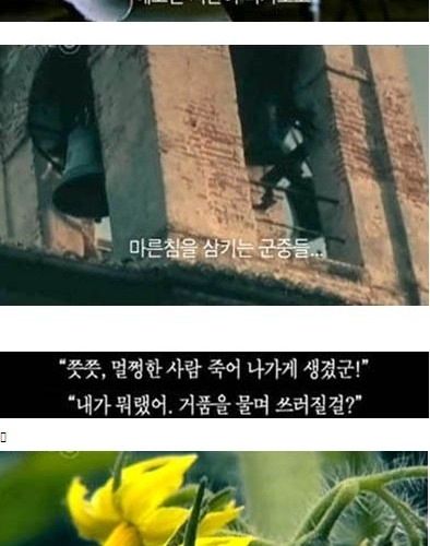 내 텃밭에서 기르는 식물은 무죄