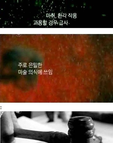 내 텃밭에서 기르는 식물은 무죄