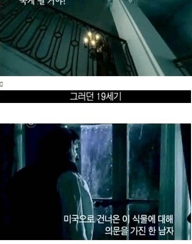 내 텃밭에서 기르는 식물은 무죄