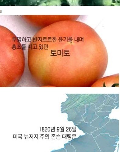 내 텃밭에서 기르는 식물은 무죄