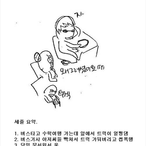 [스압] 수학여행 버스기사의 패기