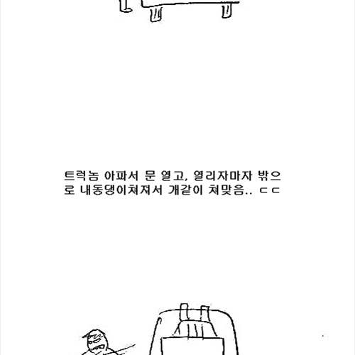 [스압] 수학여행 버스기사의 패기