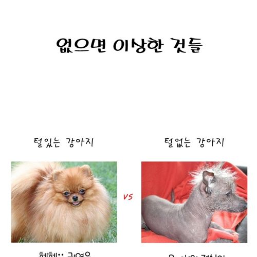 없으면 이상한것들.jpg