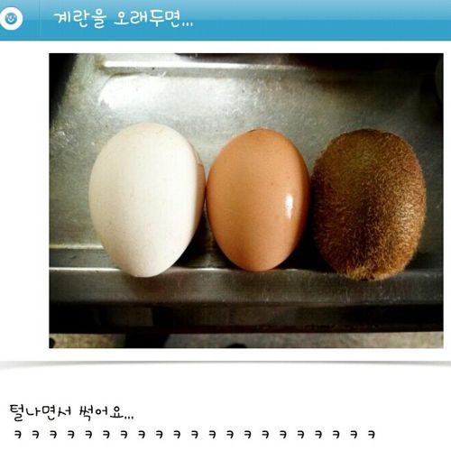 계란을 오래두면..jpg