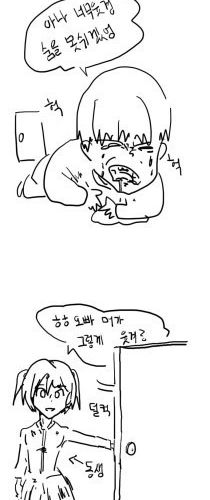 [스압]넷카마되는 만화.jpg