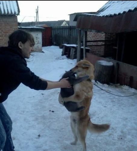 아저씨네 고양이 맞죠?