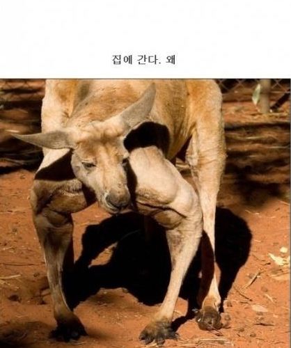 야 너 어디가냐?.jpg