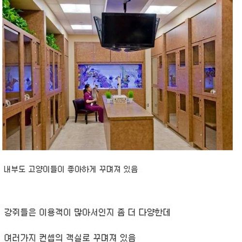 [스압]부잣집개와고양이들의 휴가