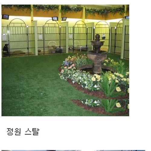 [스압]부잣집개와고양이들의 휴가