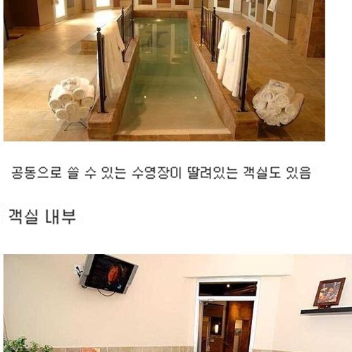 [스압]부잣집개와고양이들의 휴가