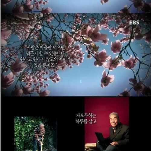 꽃이피는 봄이오면.jpg